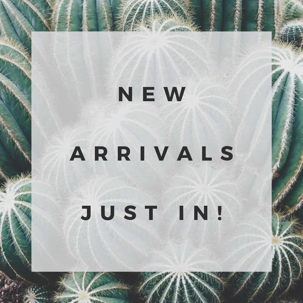 NEW ARRIVALS!